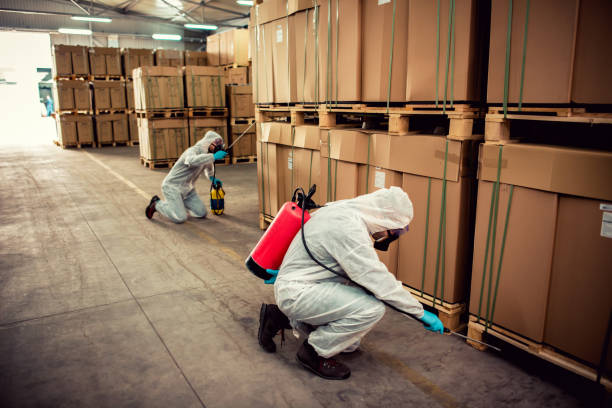Best Pest Prevention Services  in Rockville, IN