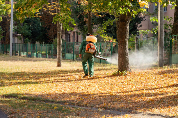 Best Affordable Pest Control Services  in Rockville, IN