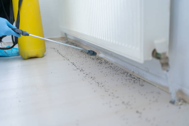 Pest Prevention Services in Rockville, IN