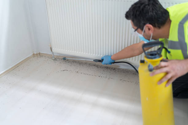 Best Local Pest Control Services  in Rockville, IN